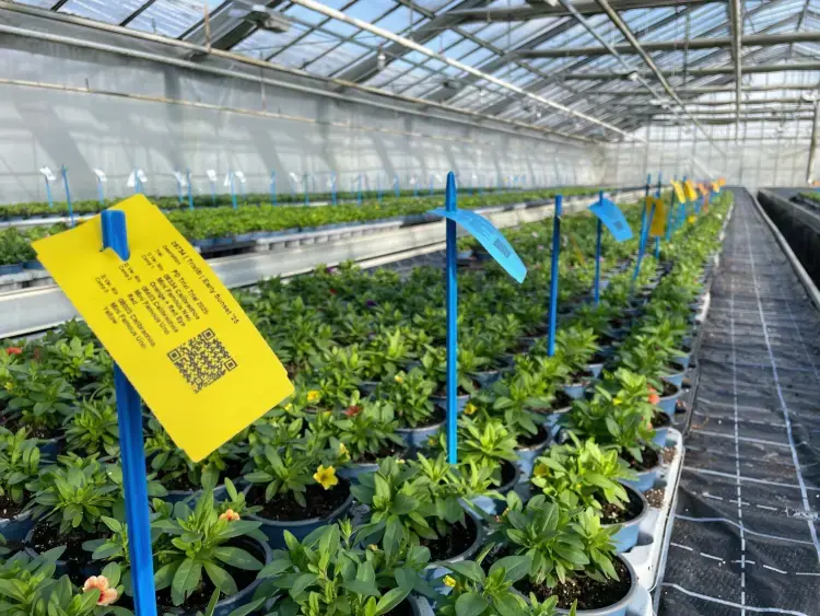 thermo transfer labels met track and trace in de tuinbouw