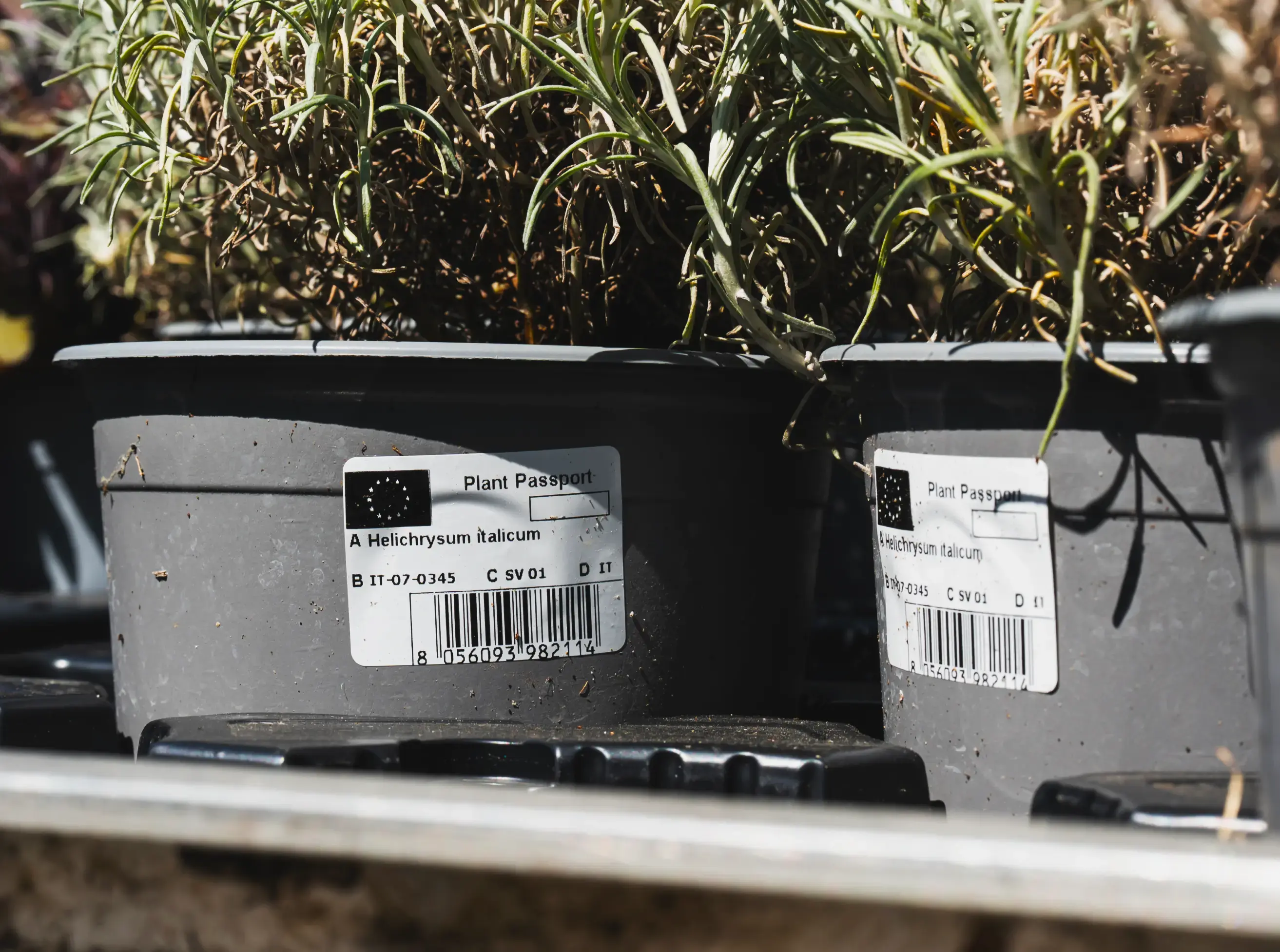 Zelfklevende etiketten op bloempotten