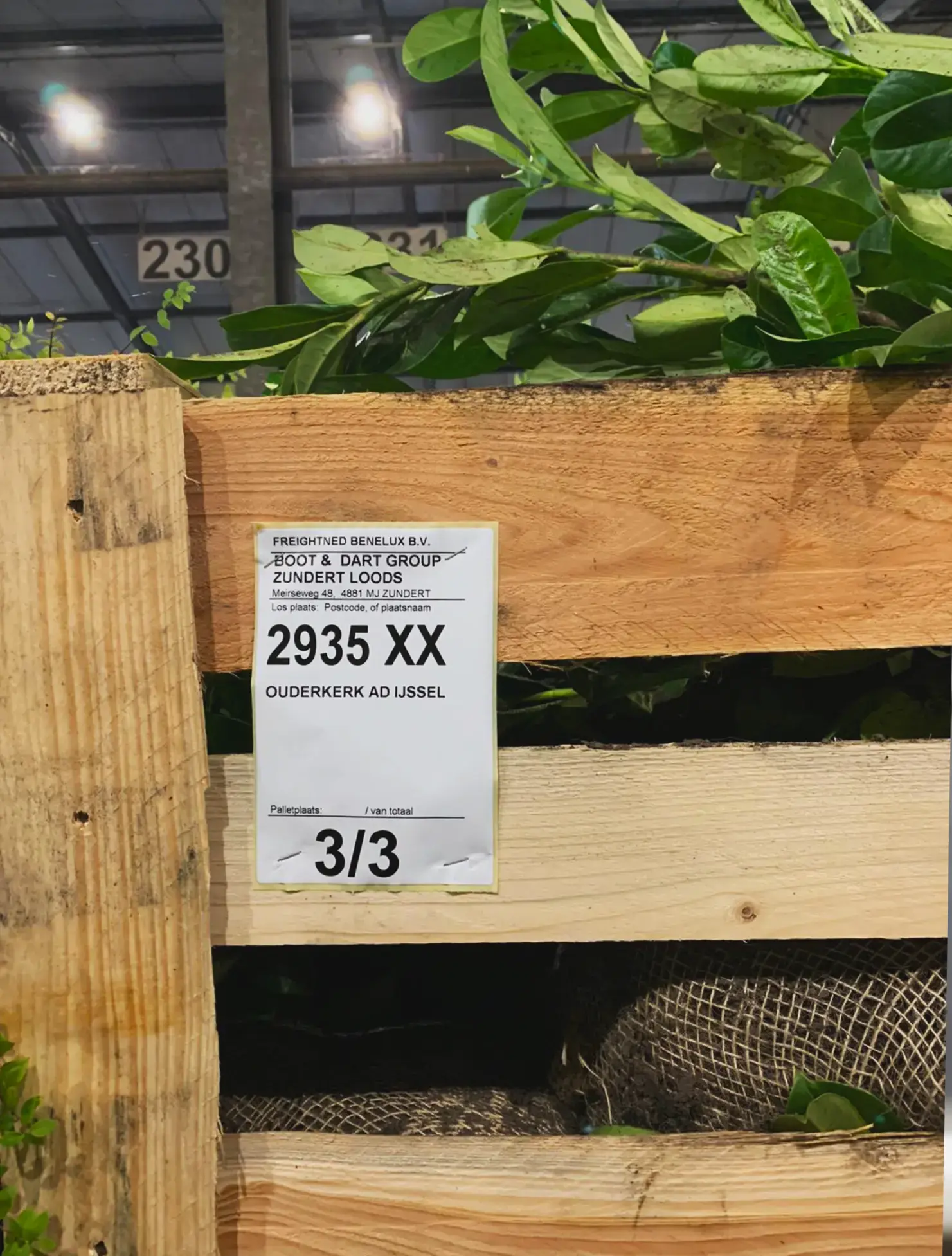 Zelfklevende etiketten in de logistiek van boomen