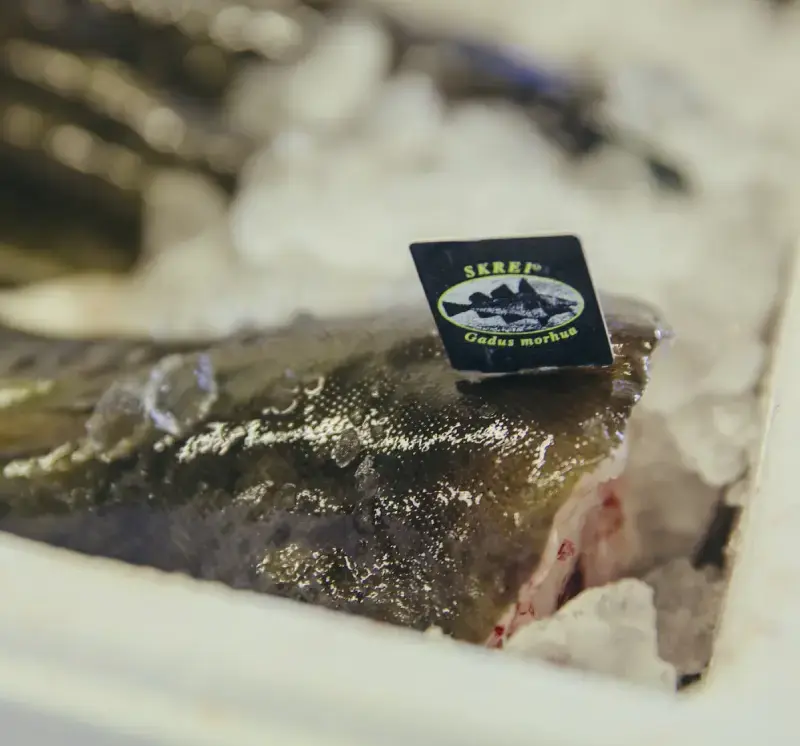 Food-safe insert labels inserted into fish with print for fish processing