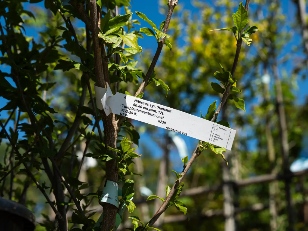 Loop lock labels with product info used in tree nursery