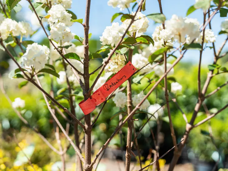 Tyvek slot labels at the nursery