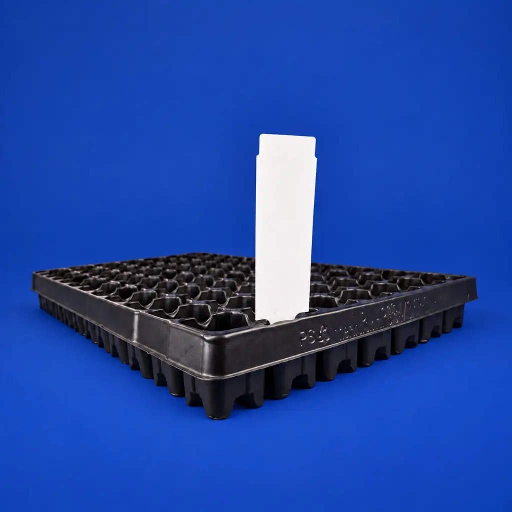 sweer t.t tray 100 x 35.webp