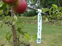 DSC03370.webp