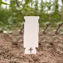 sweer T.T. Steeketiketten 116 x 35 mm met cross.webp