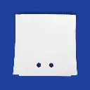 T.T. Labels 100 x 100 mm, Dubbel Gat los.webp