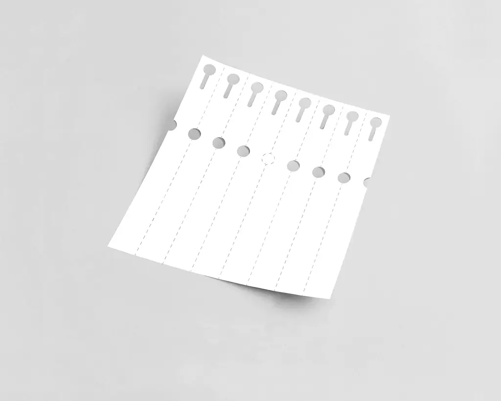 Doos Laserprint Sleufetiketten 25 x 250mm, 8 per vel kort, Laserprint 140mu 